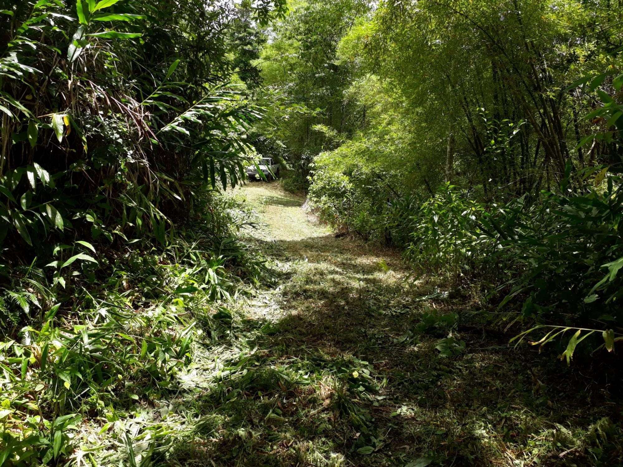 Property Image 33