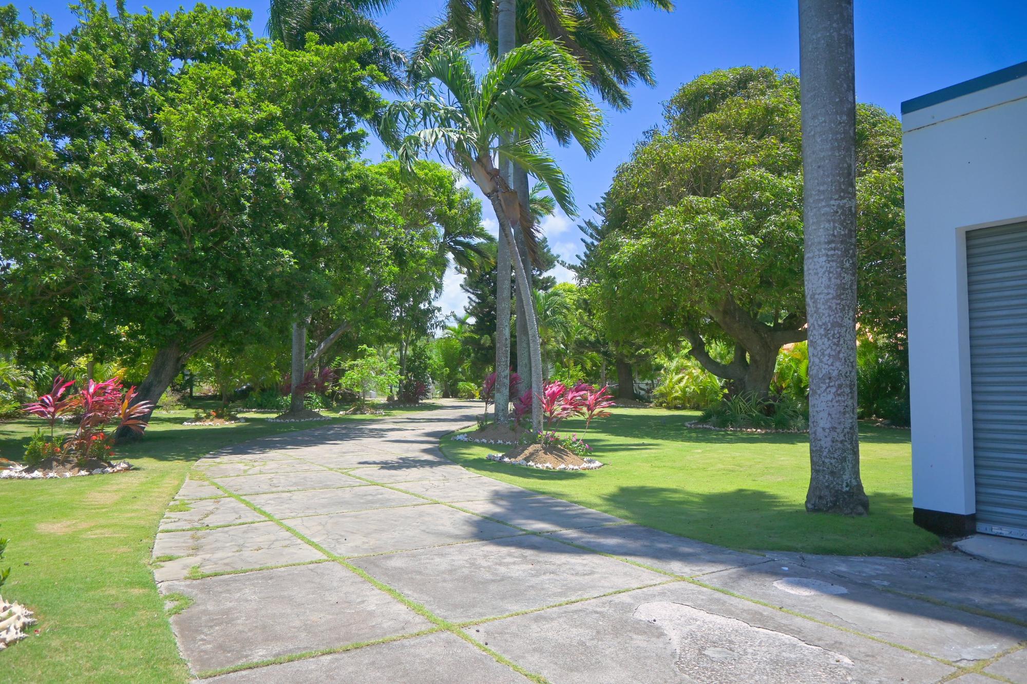 Property Image 17