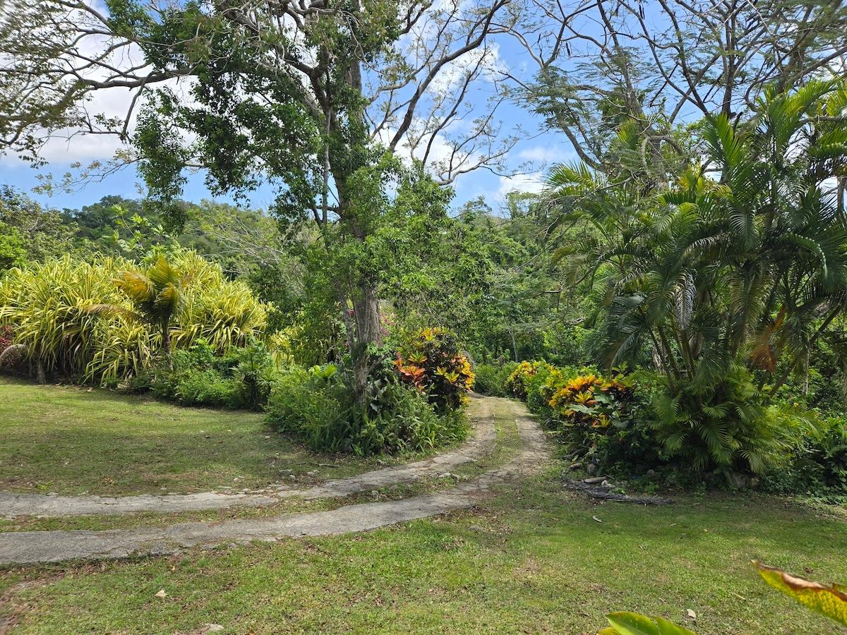 Property Image 5