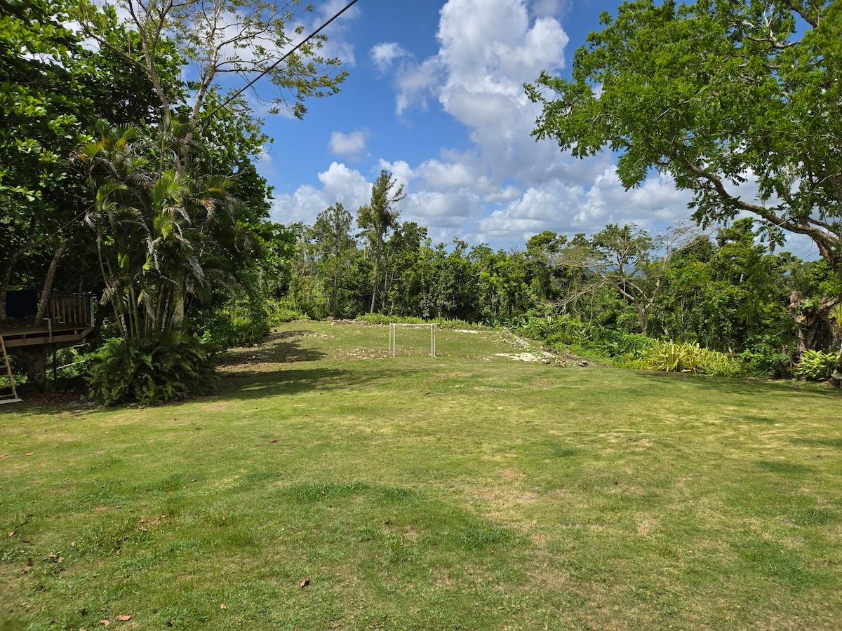 Property Image 7