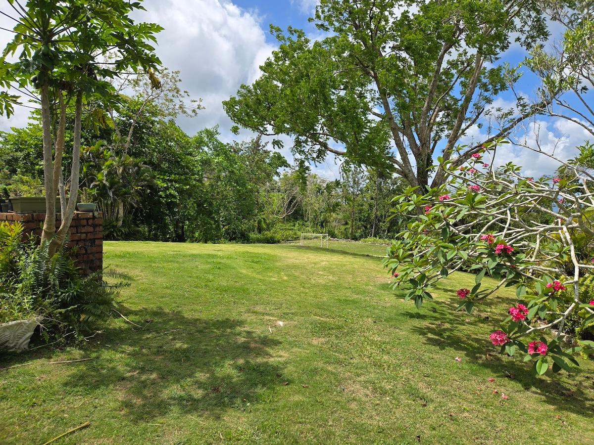 Property Image 13
