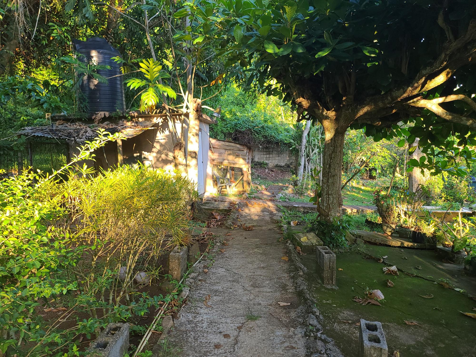 Property Image 35