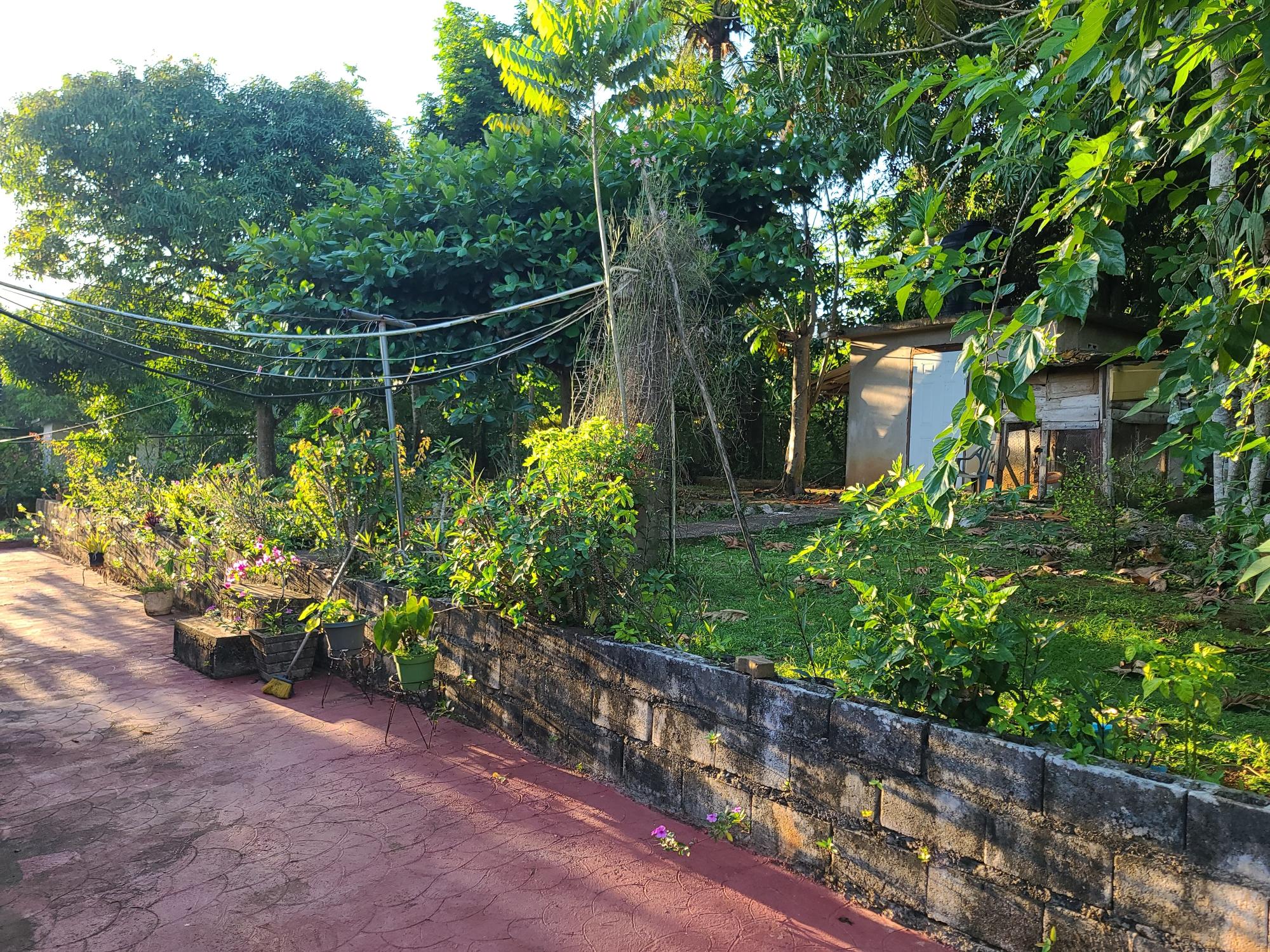 Property Image 48