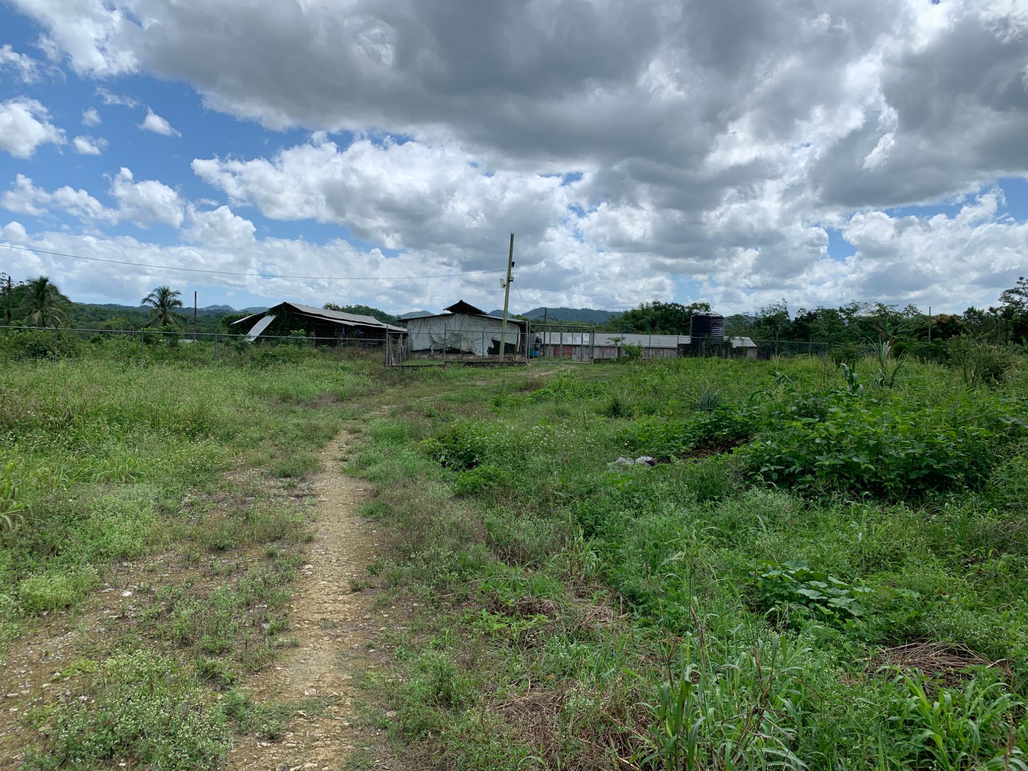 Property Image 5