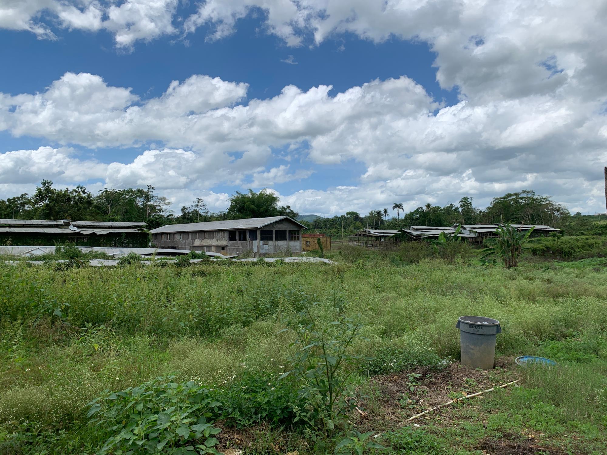 Property Image 8