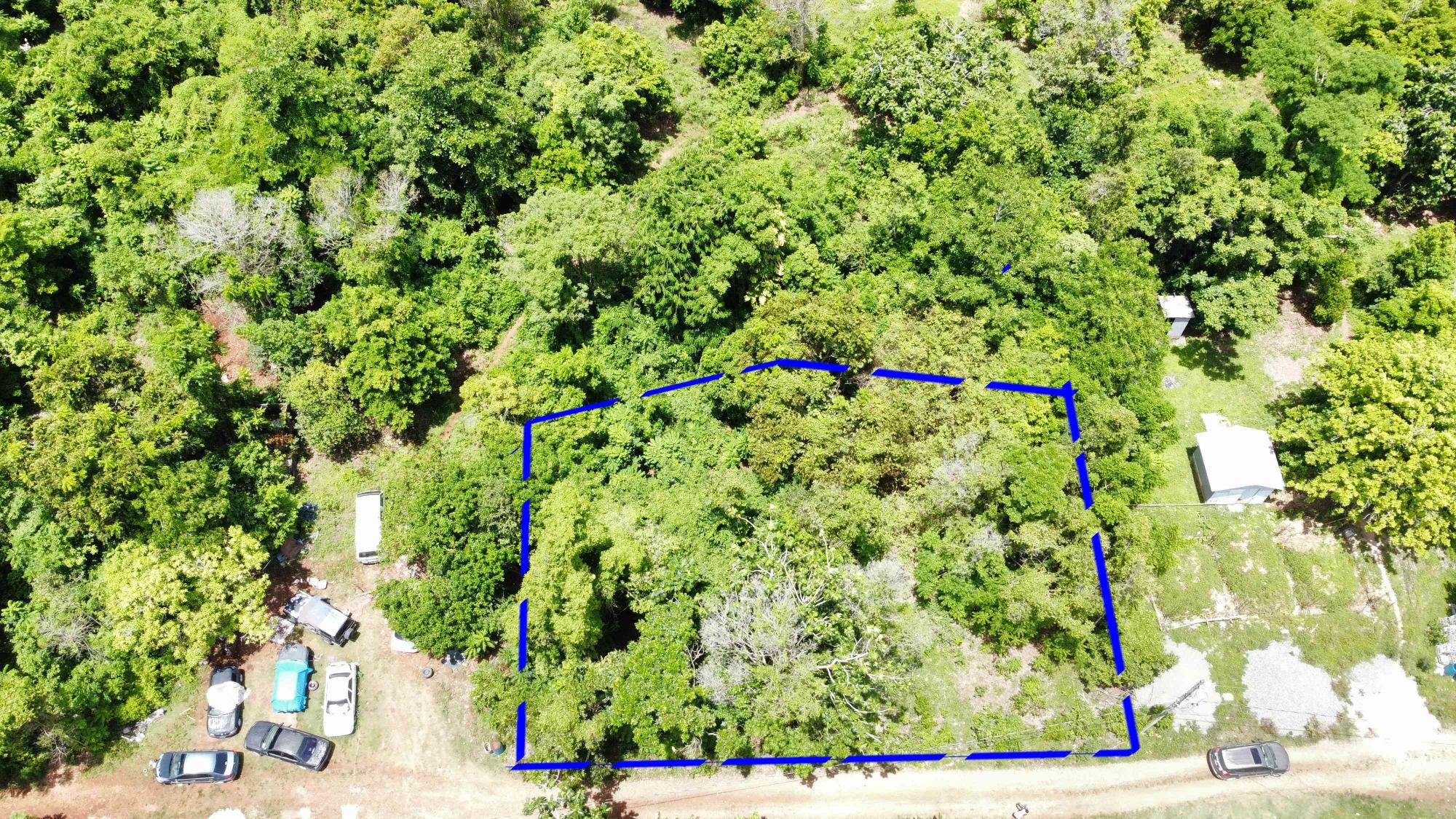 Property Image 6