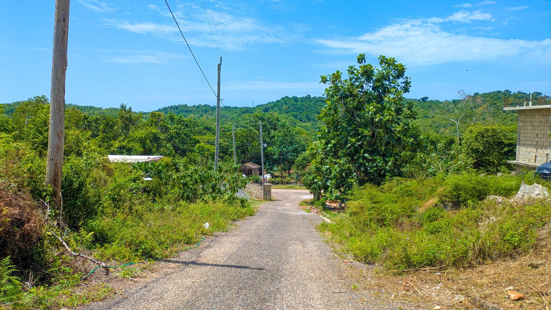 Property Image 16