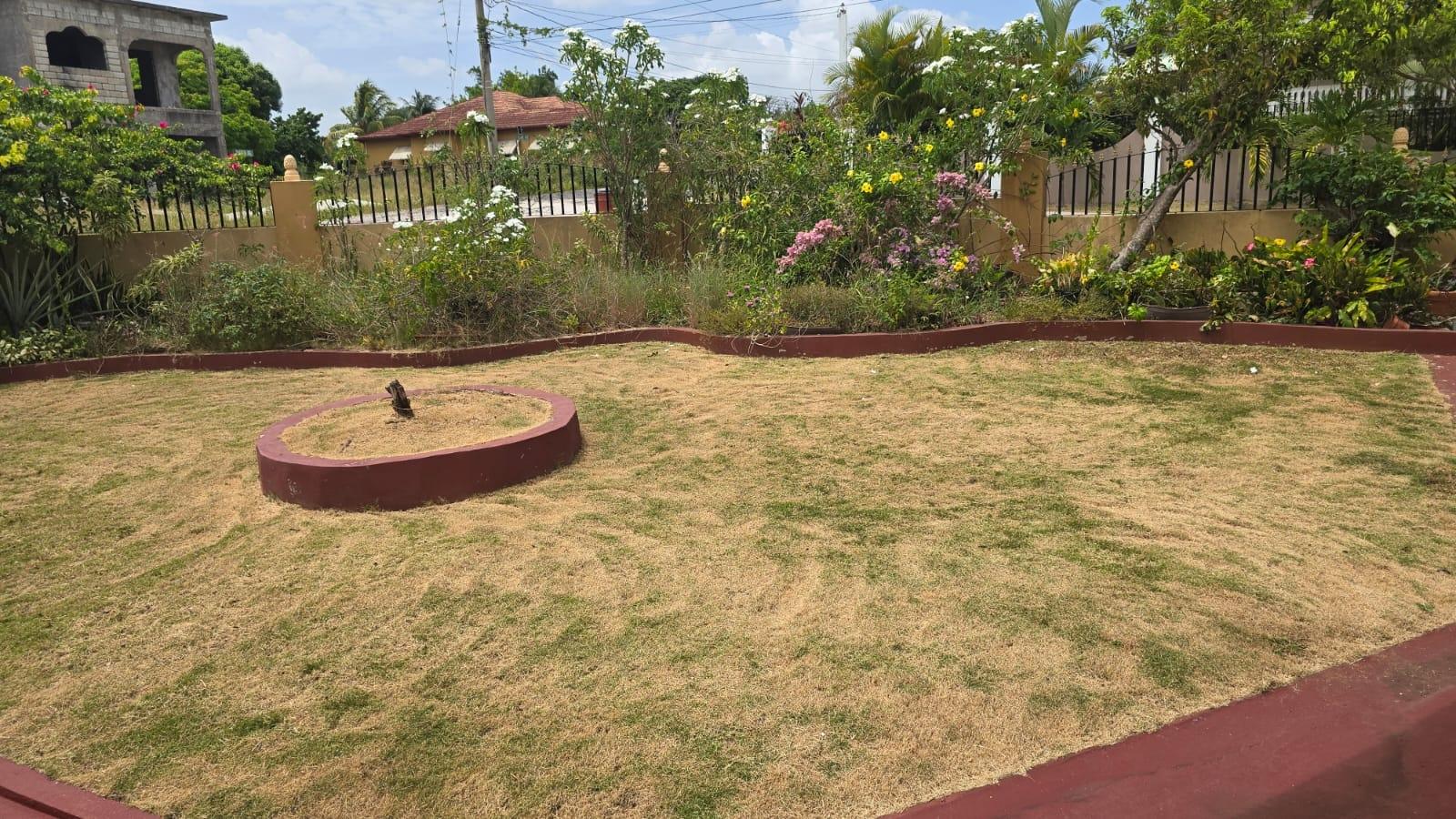 Property Image 78
