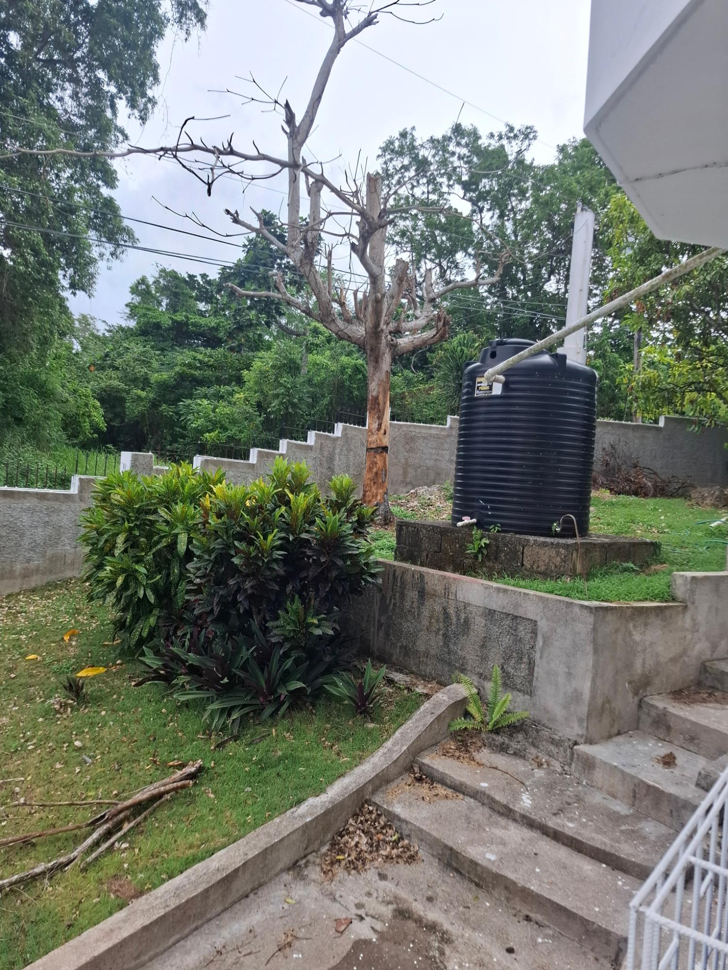 Property Image 81