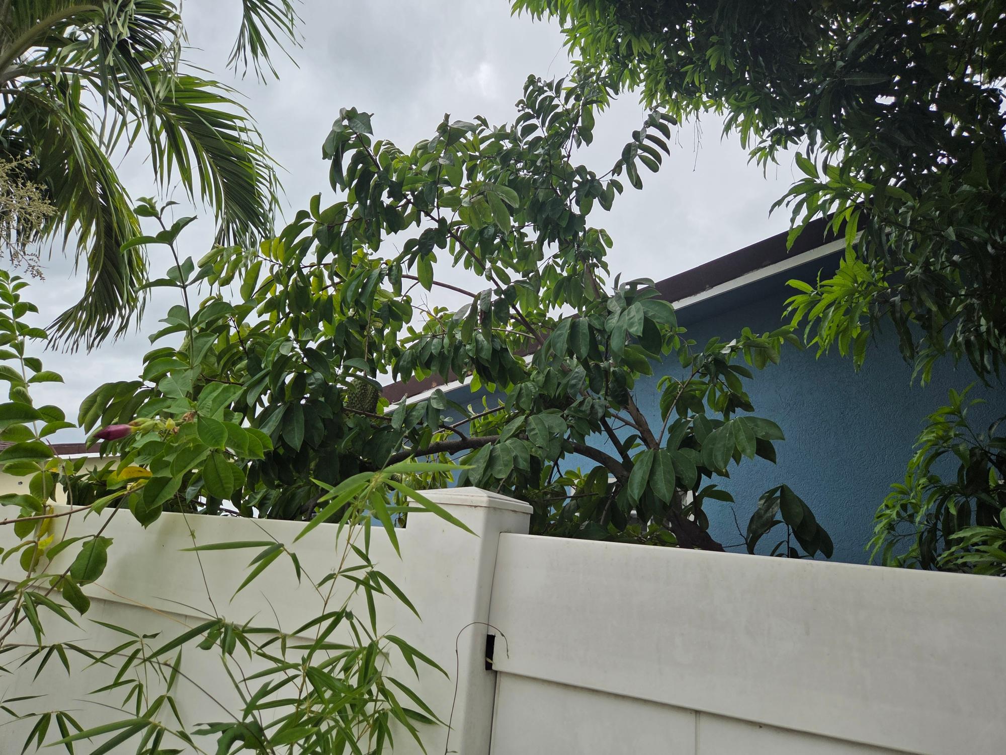 Property Image 37