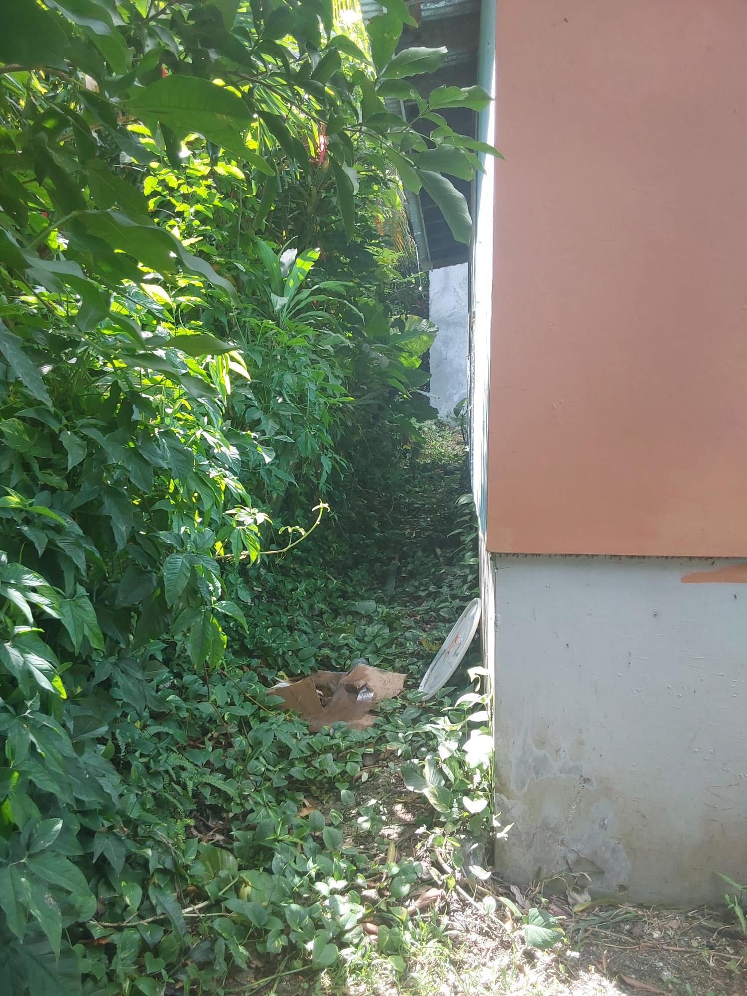 Property Image 19