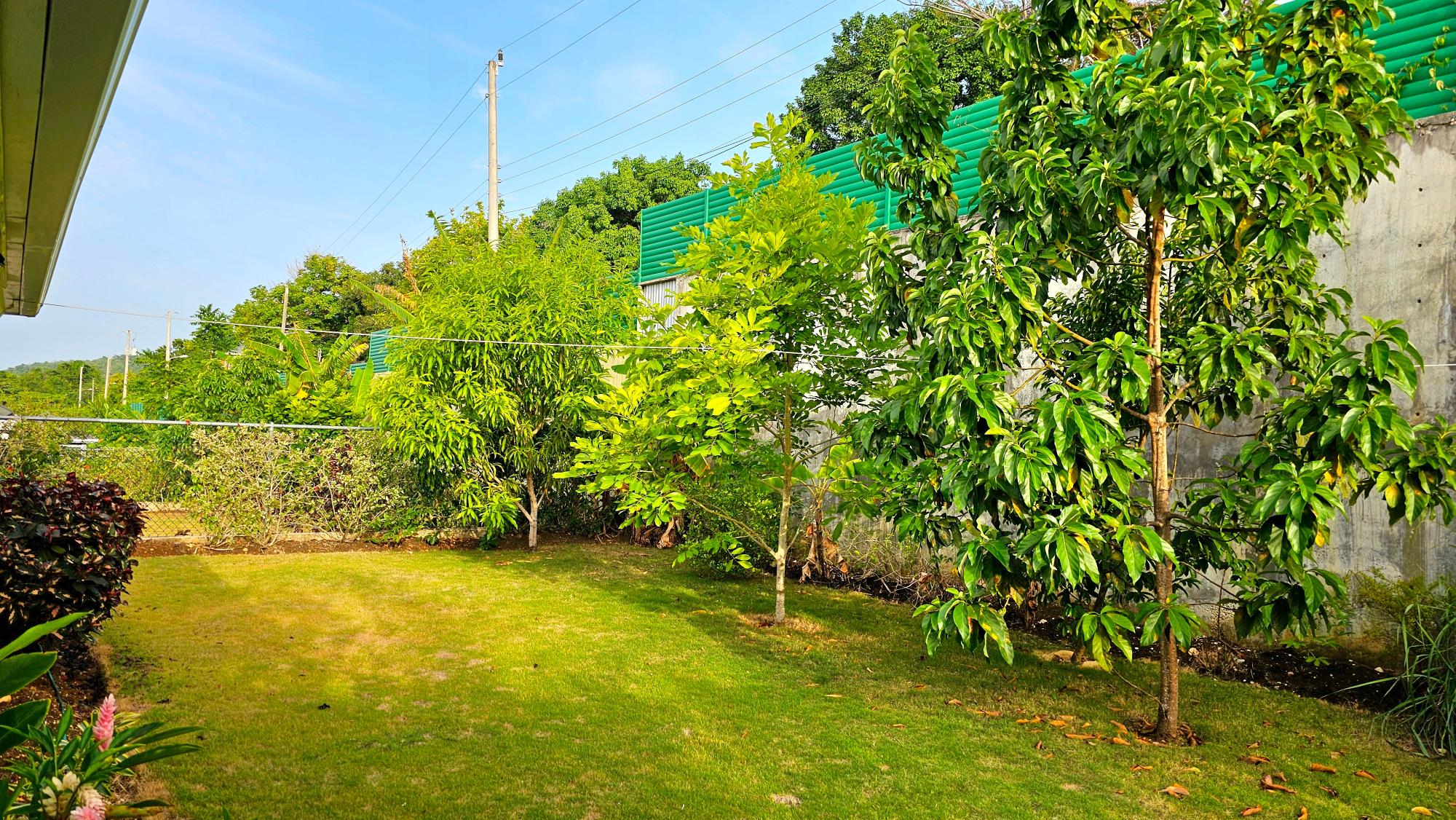Property Image 33