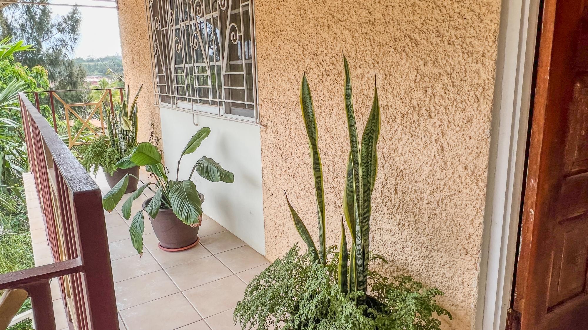 Property Image 64