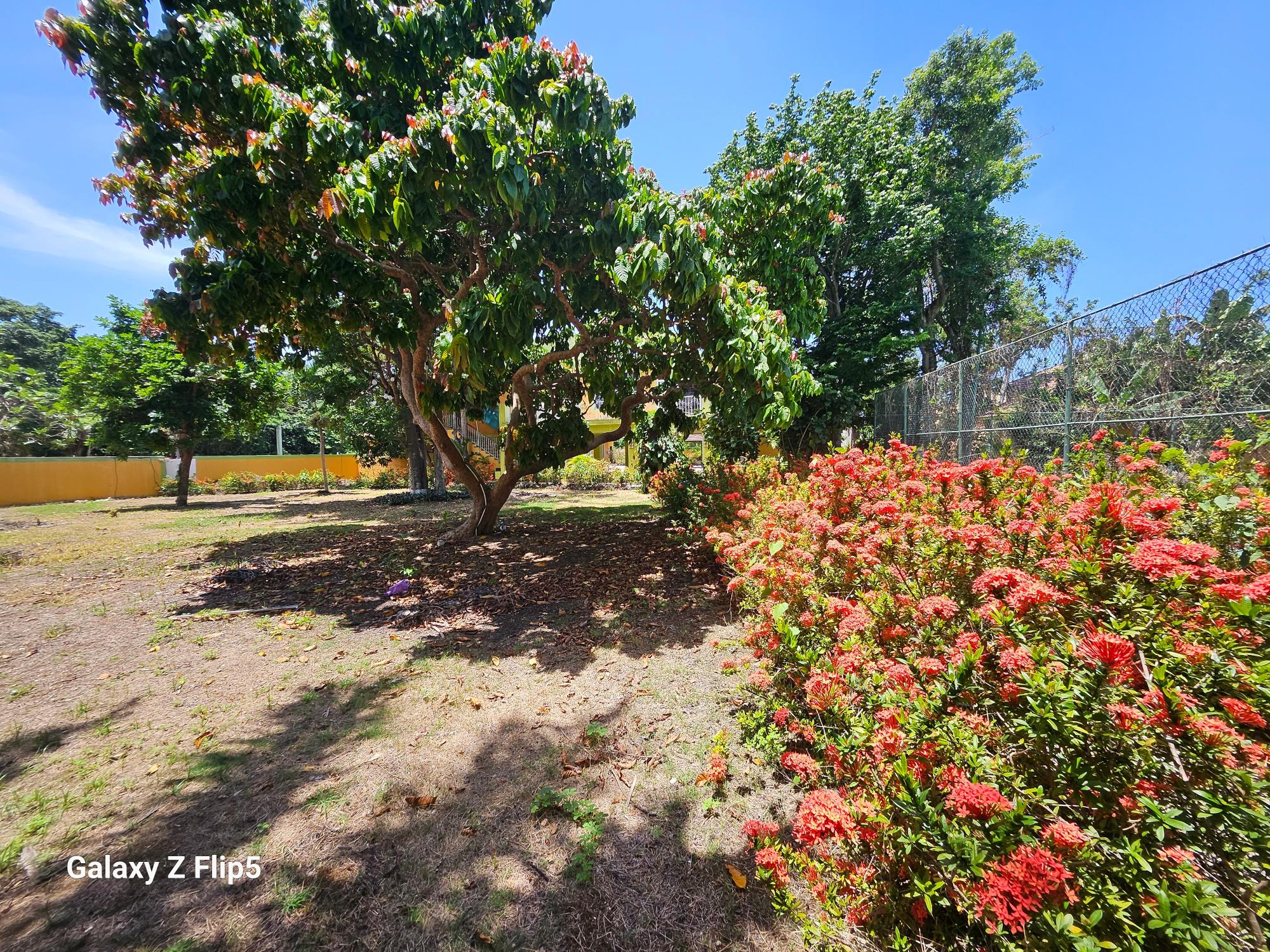 Property Image 22