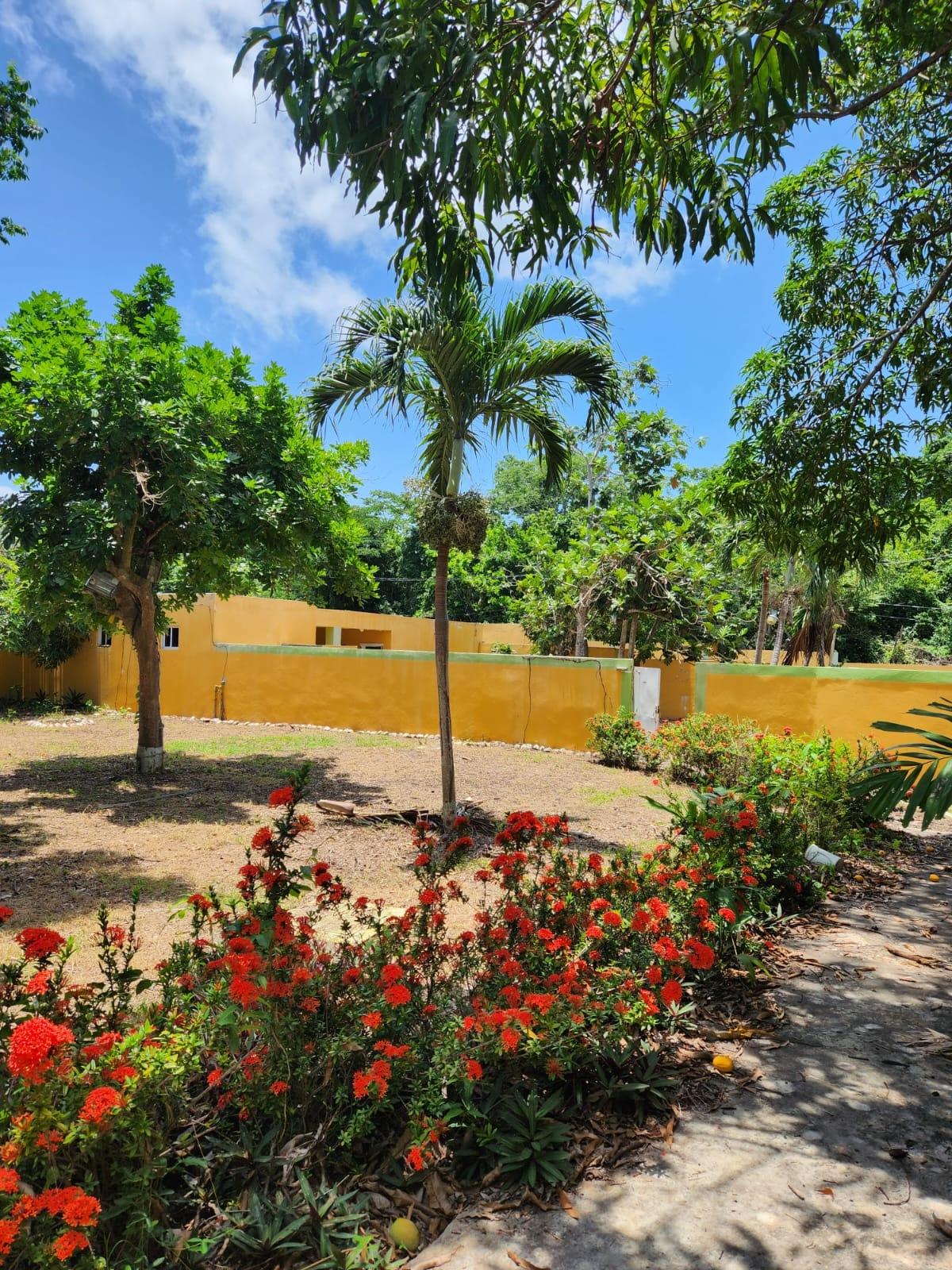 Property Image 48