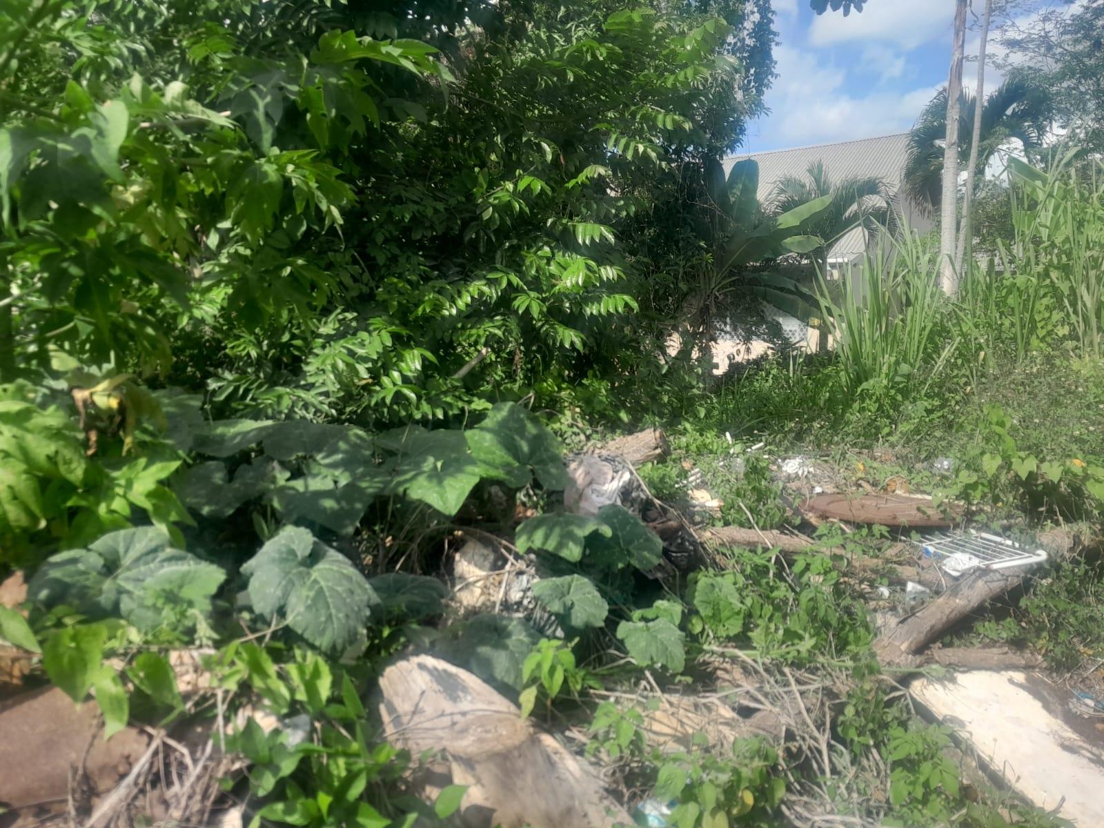 Property Image 7