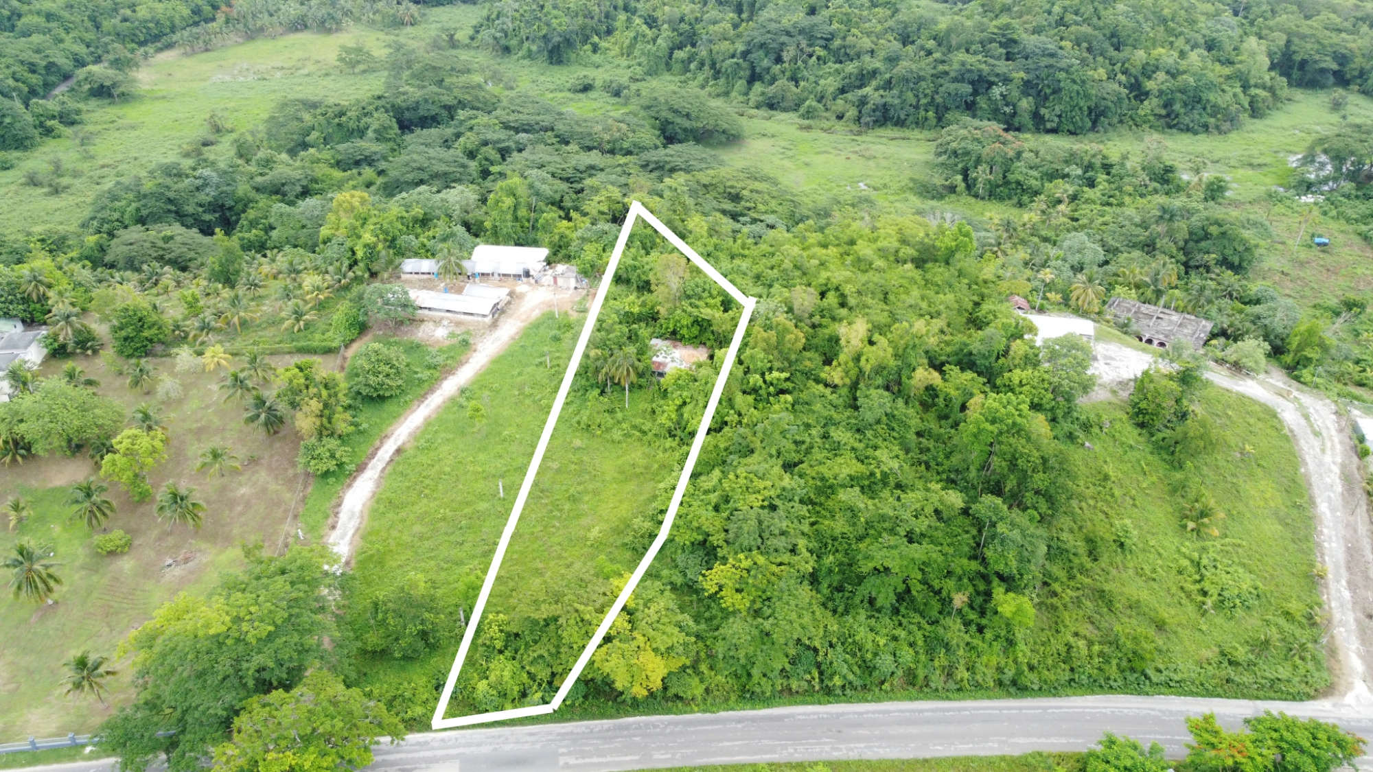 Property Image 4