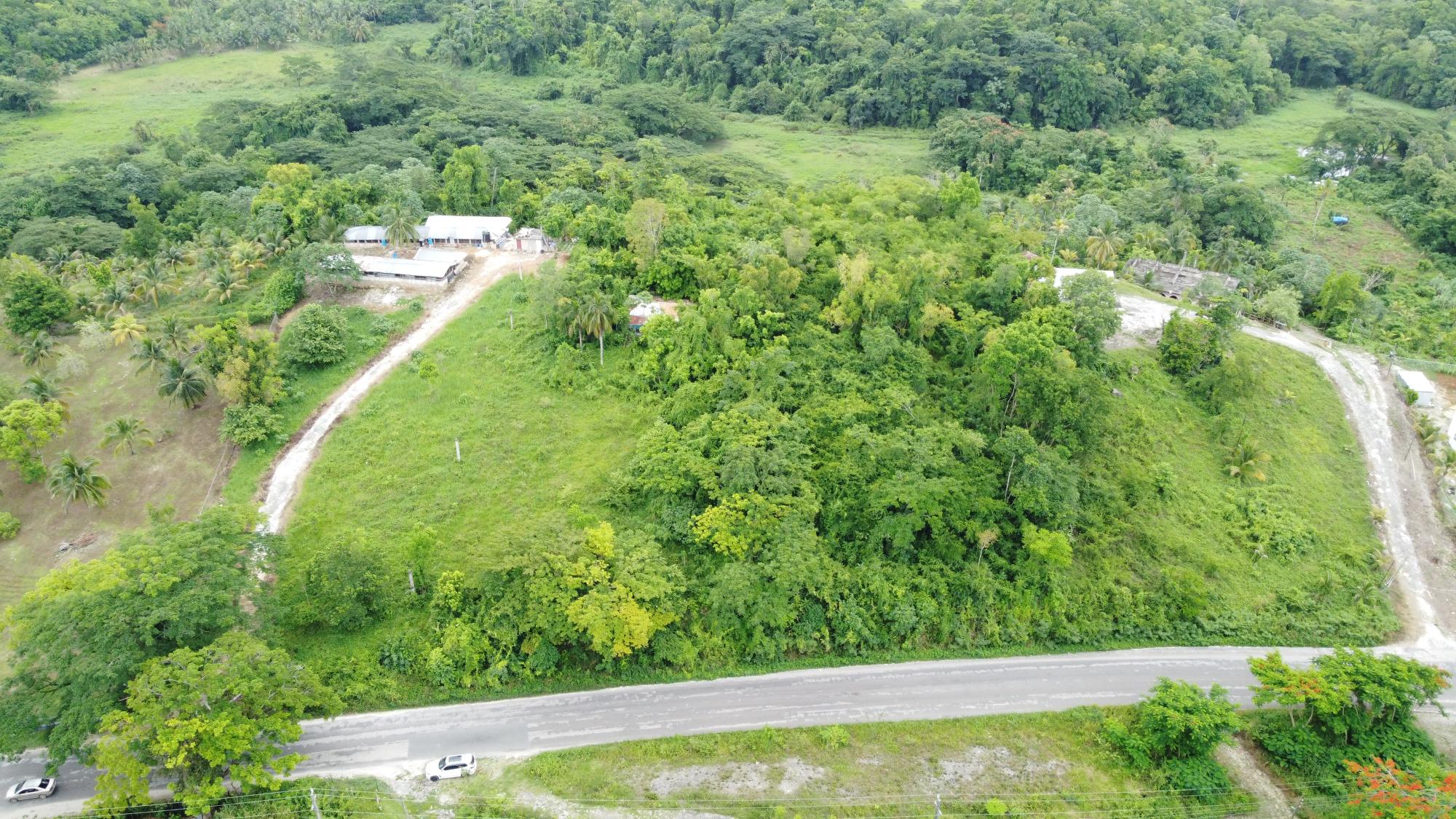 Property Image 6