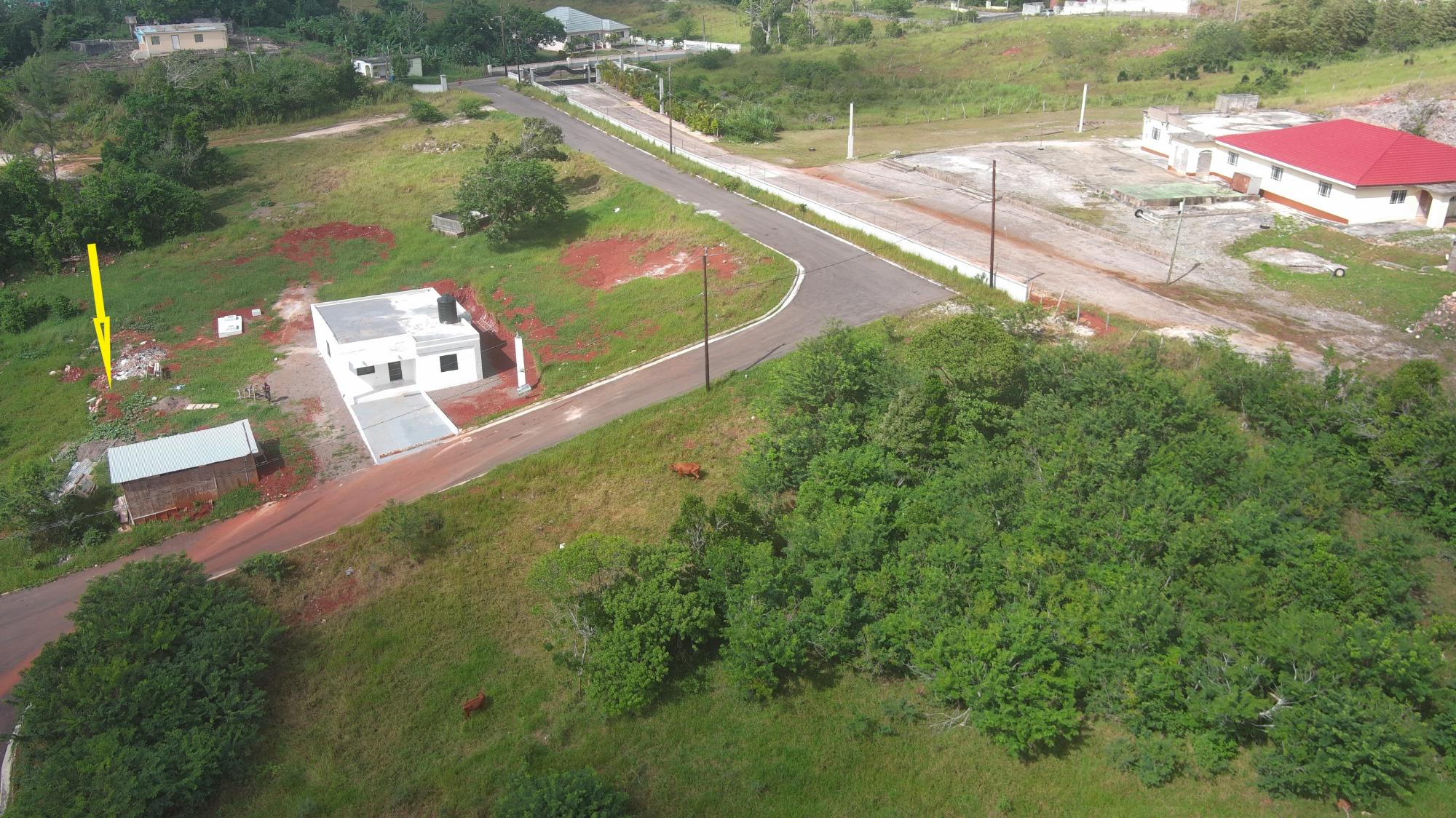 Property Image 6