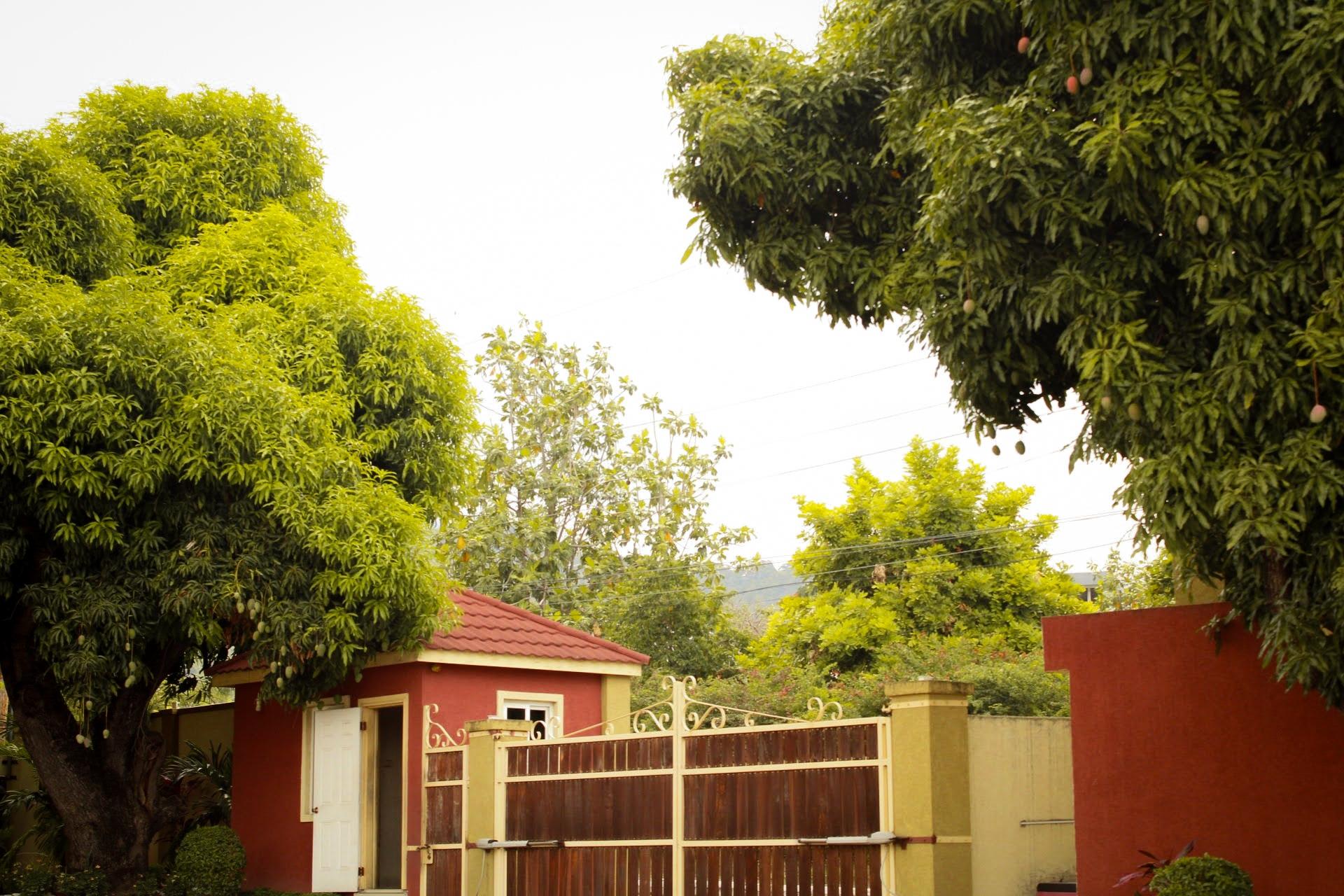 Property Image 25