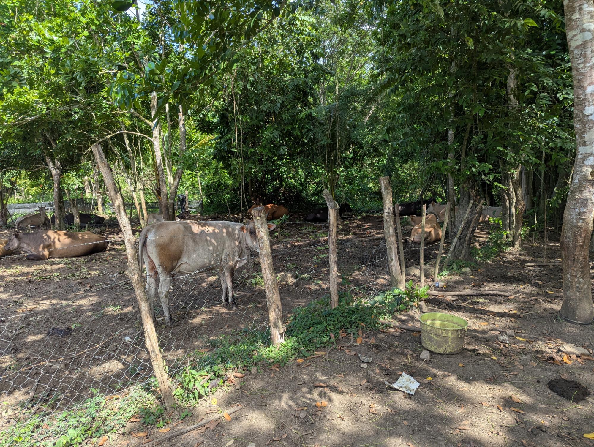 Property Image 18