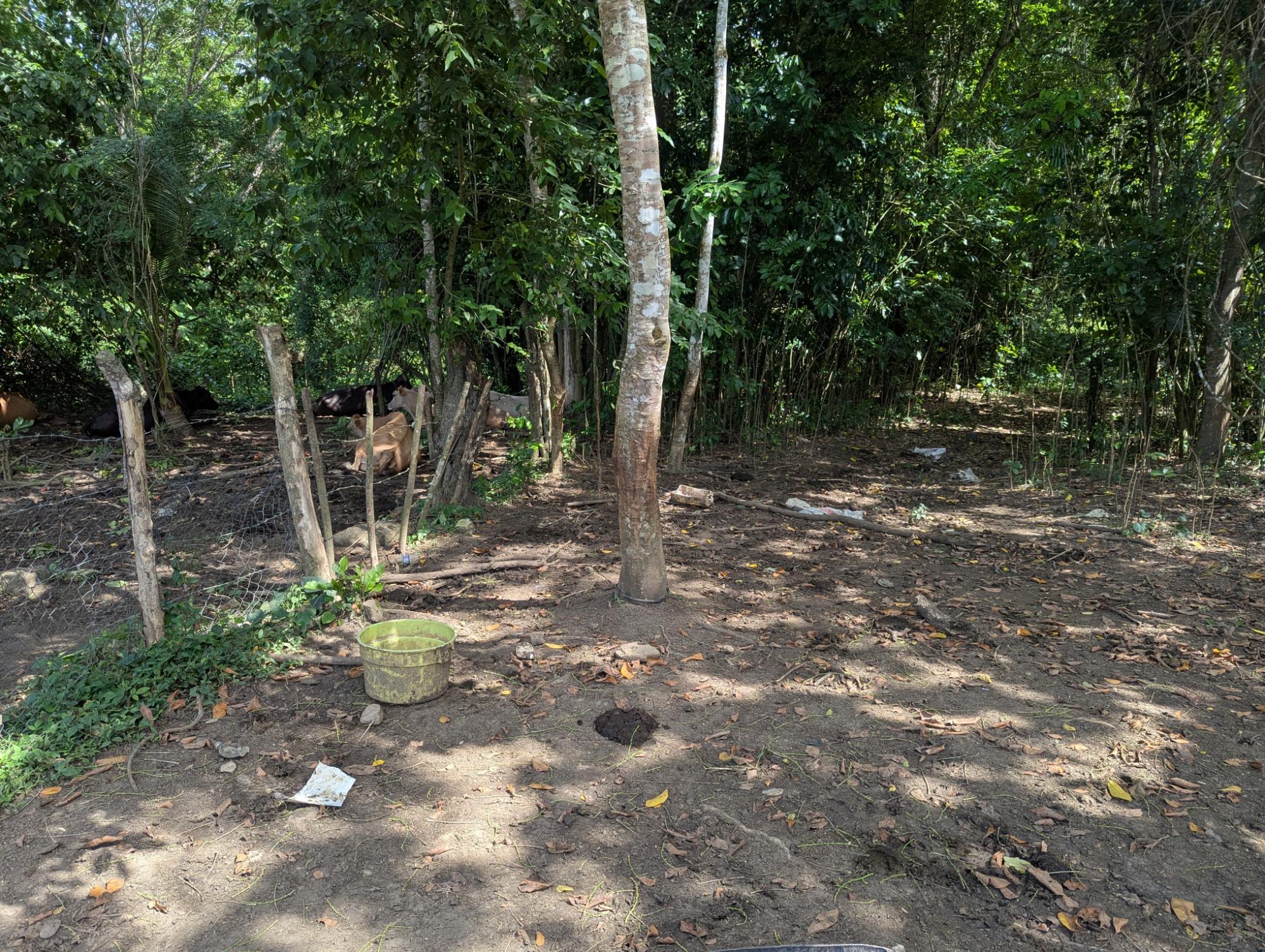 Property Image 19