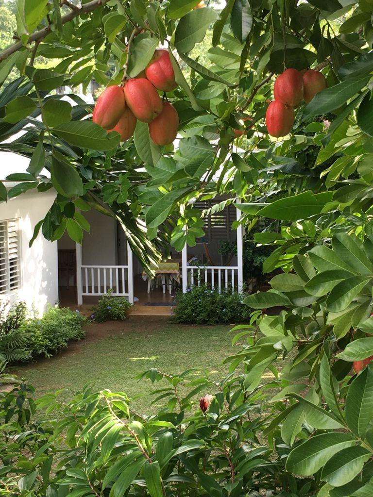 Property Image 30