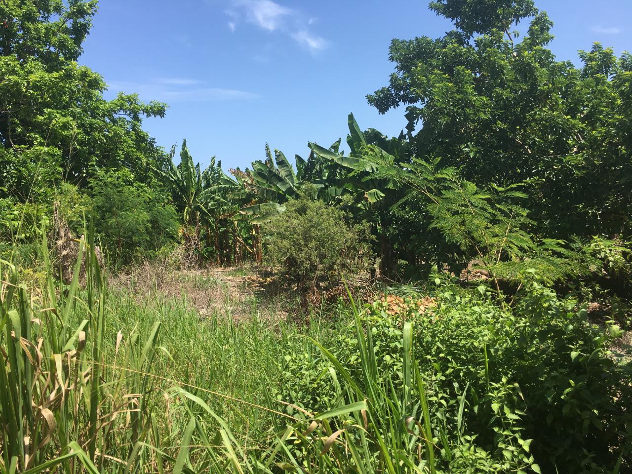 Property Image 17