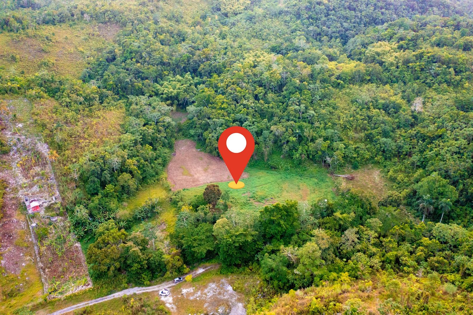 Property Image 5