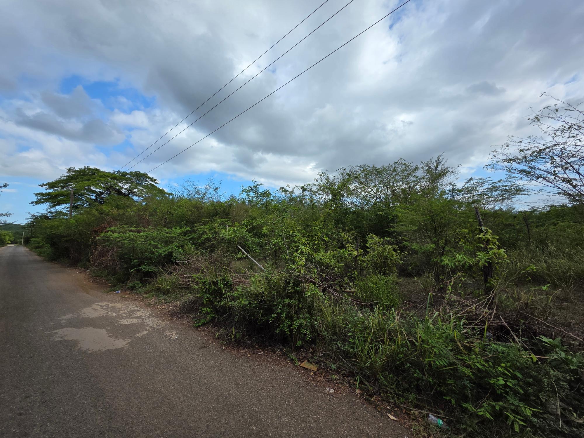 Property Image 4