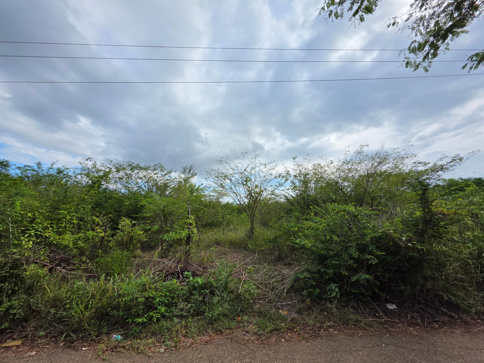 Property Image 8