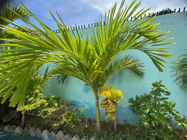 Property Image 46