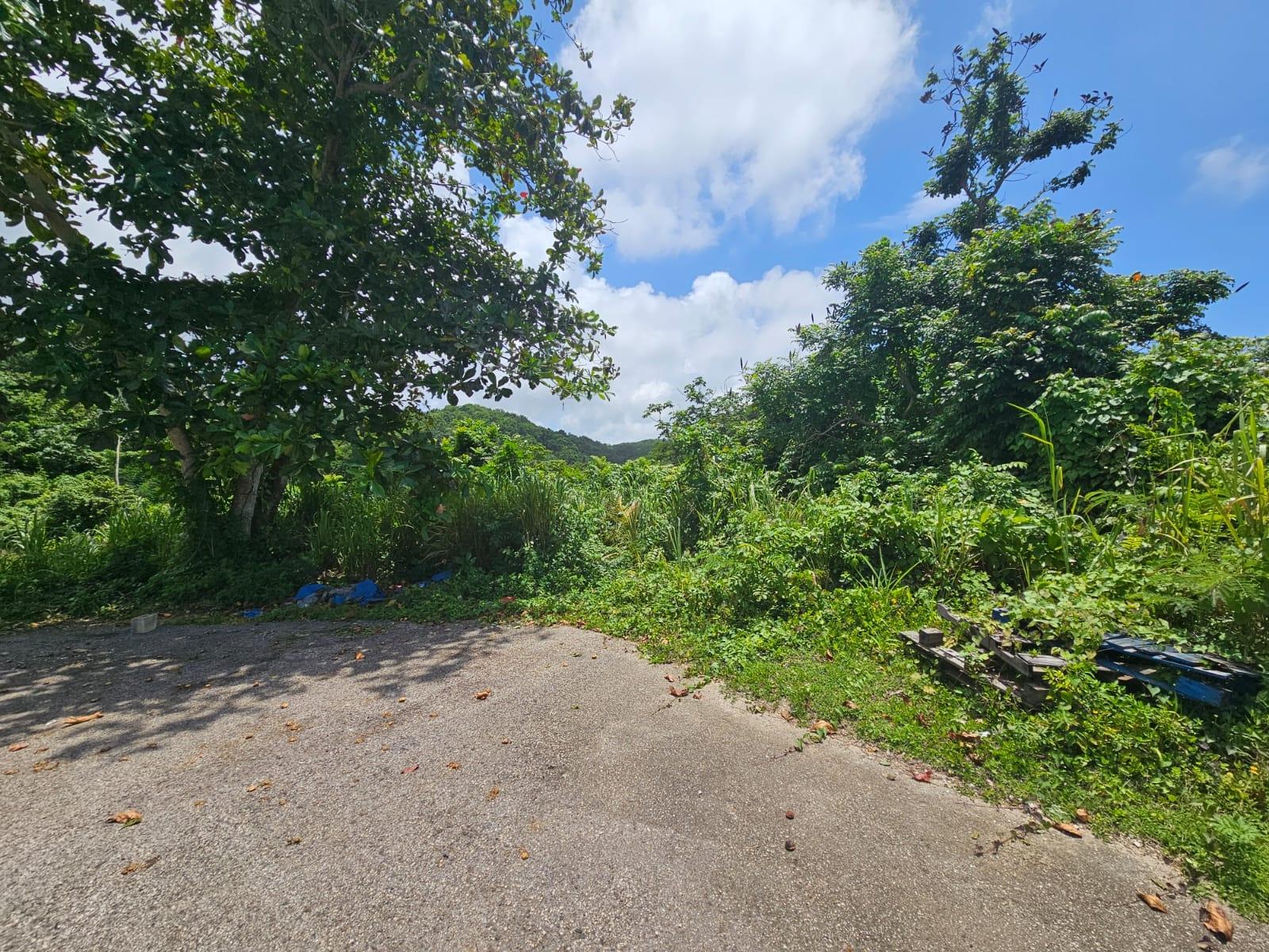 Property Image 10