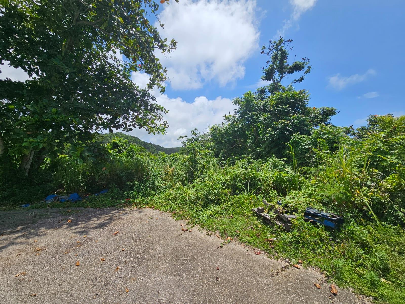 Property Image 12