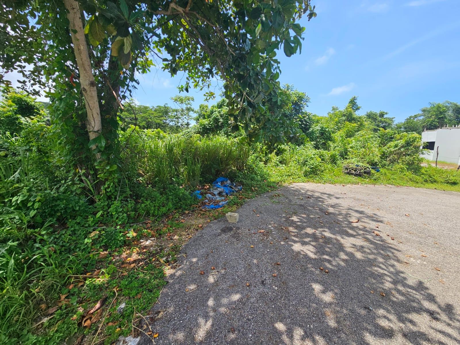 Property Image 16