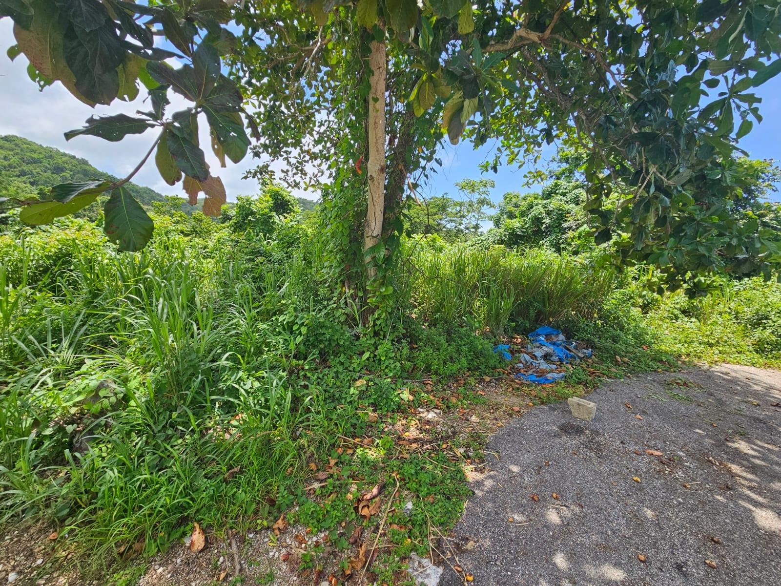 Property Image 18