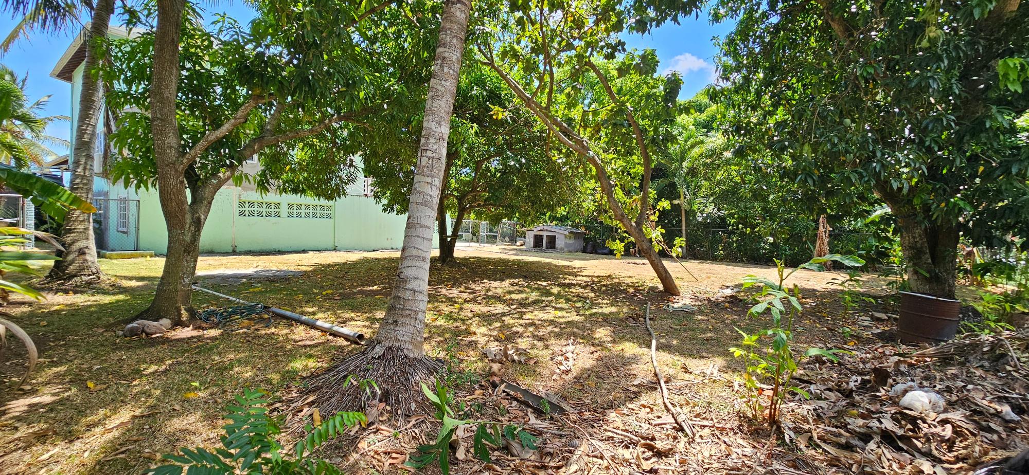 Property Image 46
