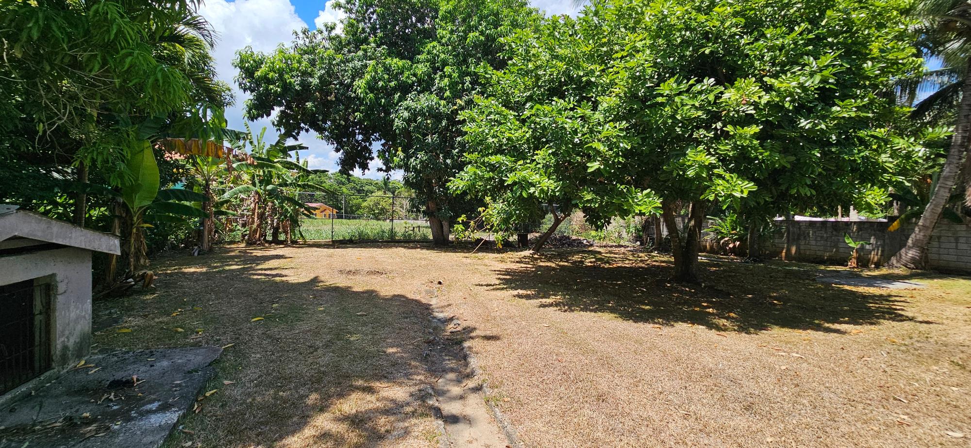 Property Image 54
