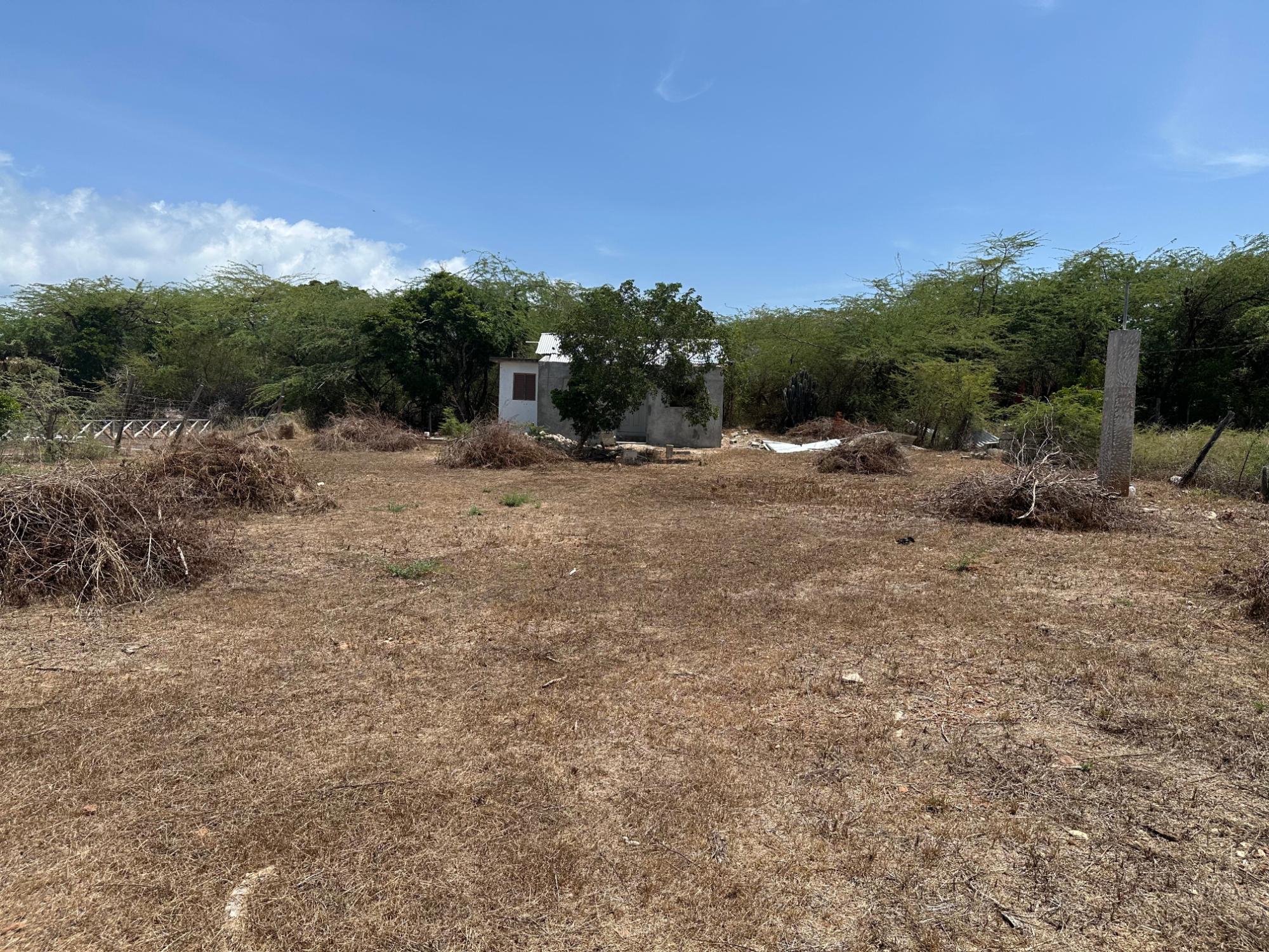 Property Image 33