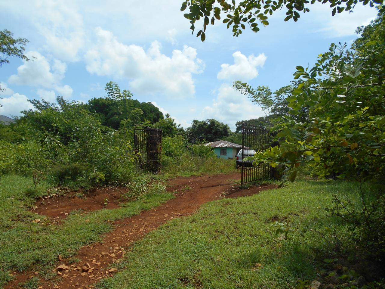 Property Image 10