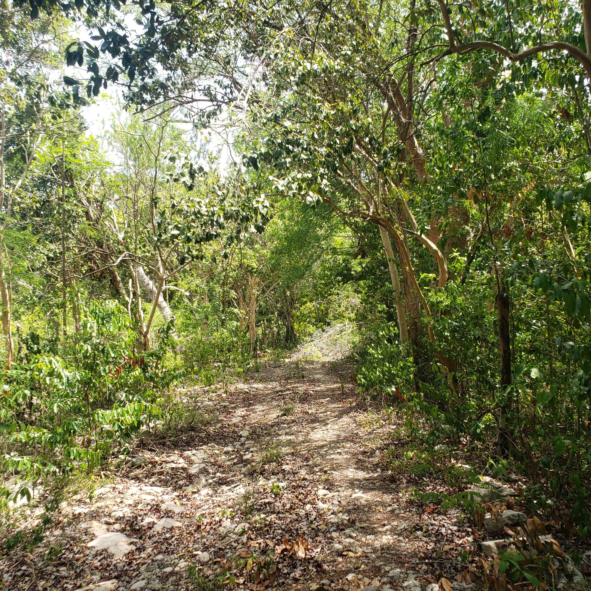 Property Image 9