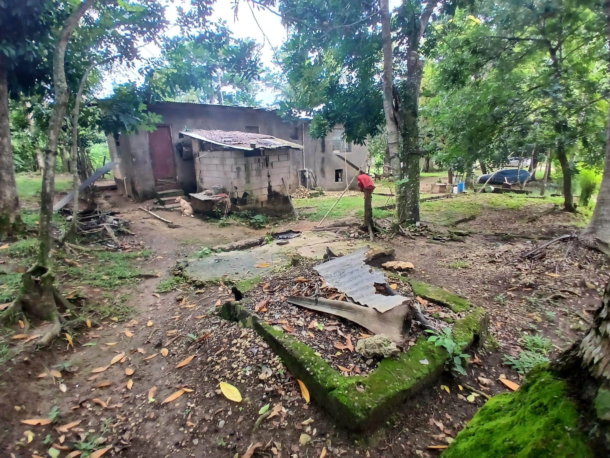 Property Image 5