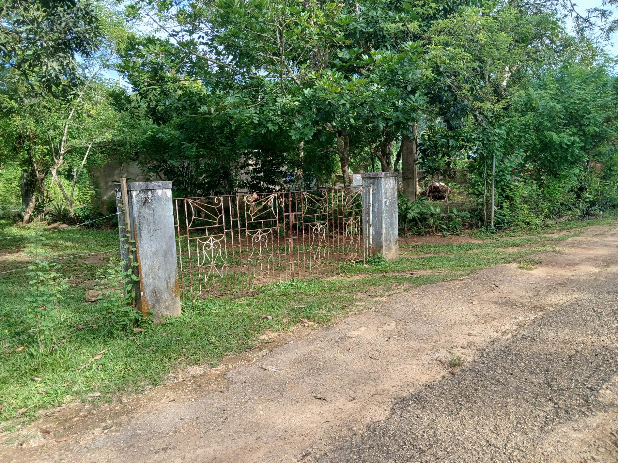 Property Image 6