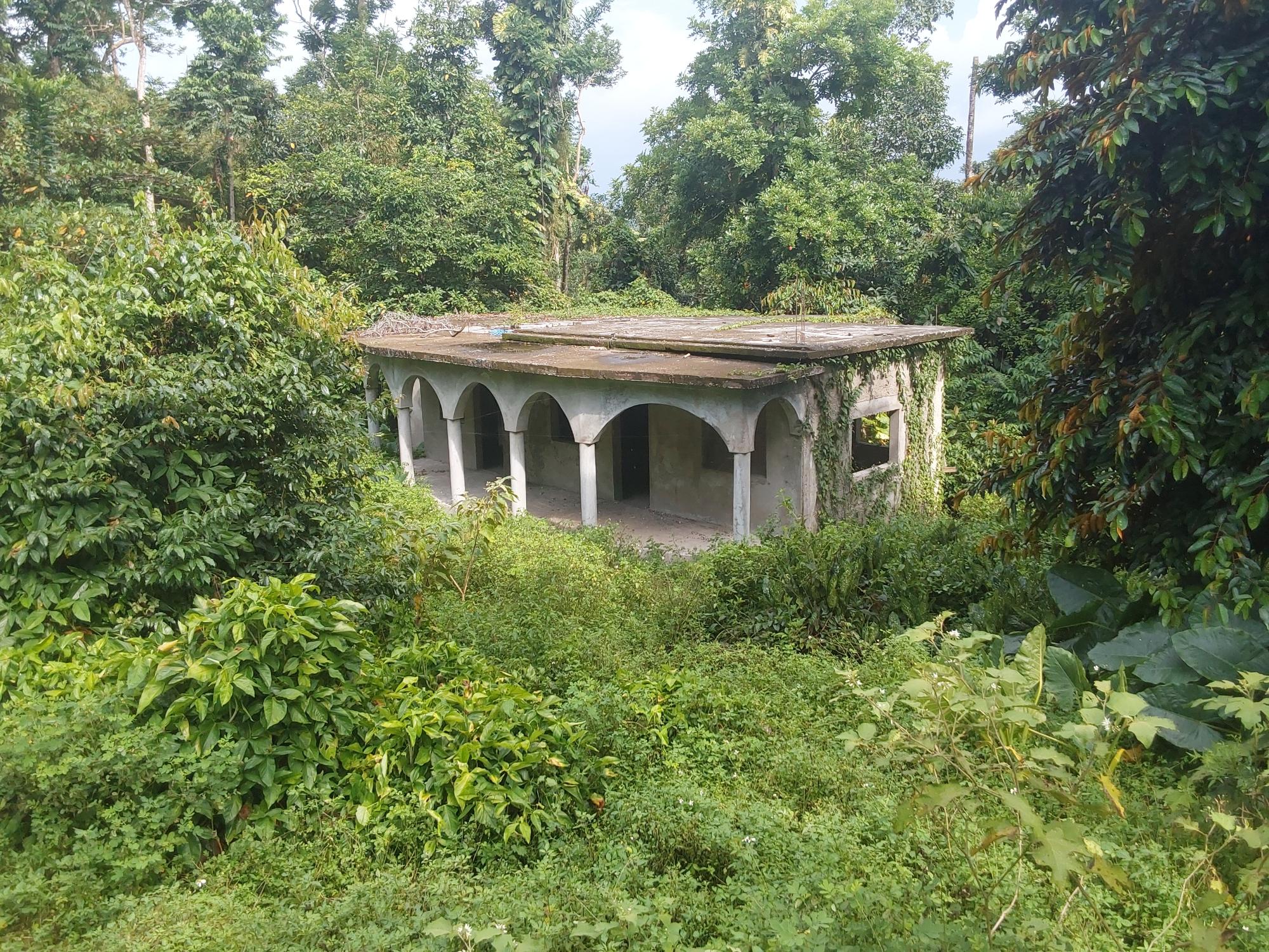 Property Image 6