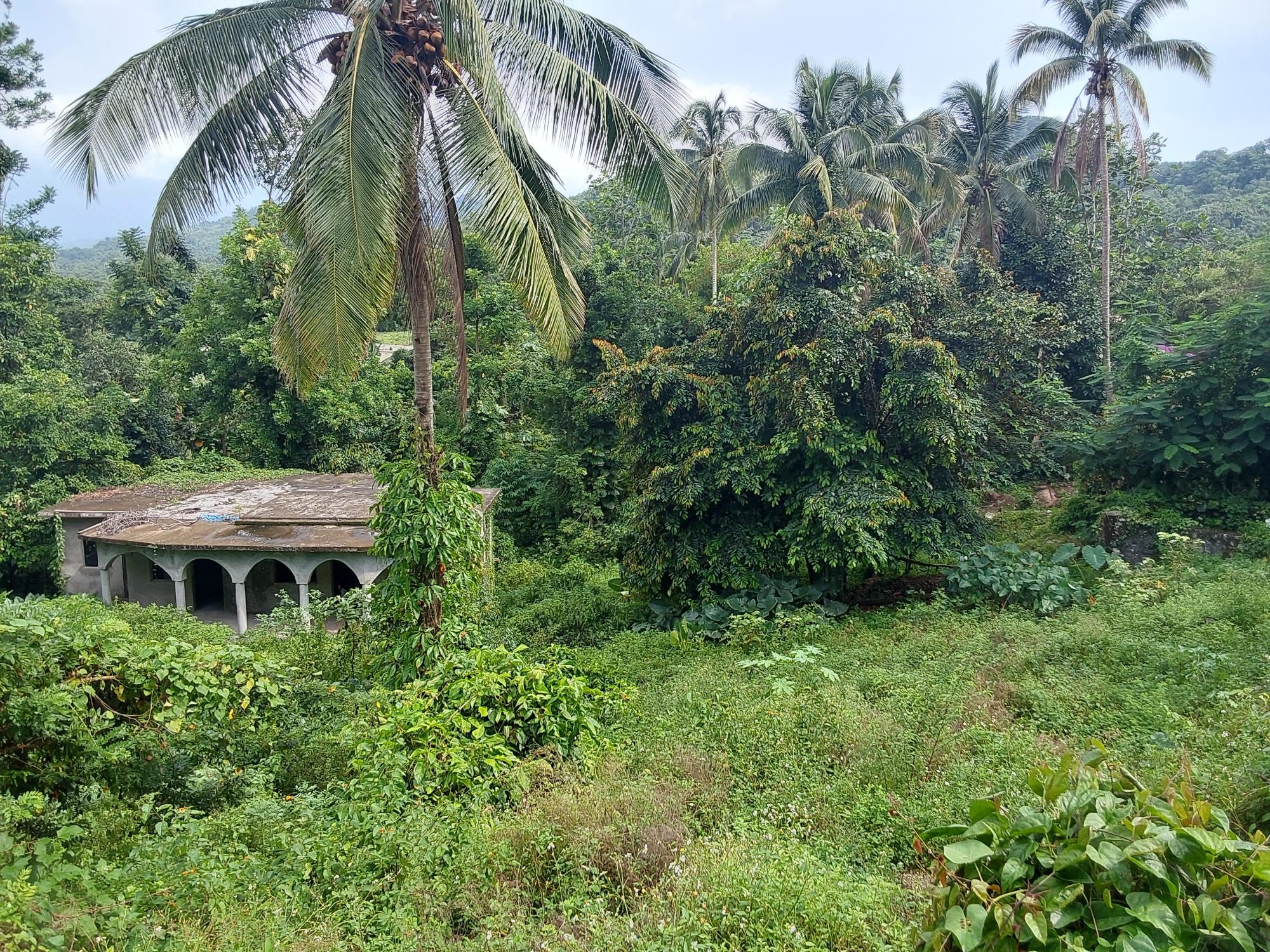 Property Image 9