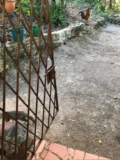 Property Image 19