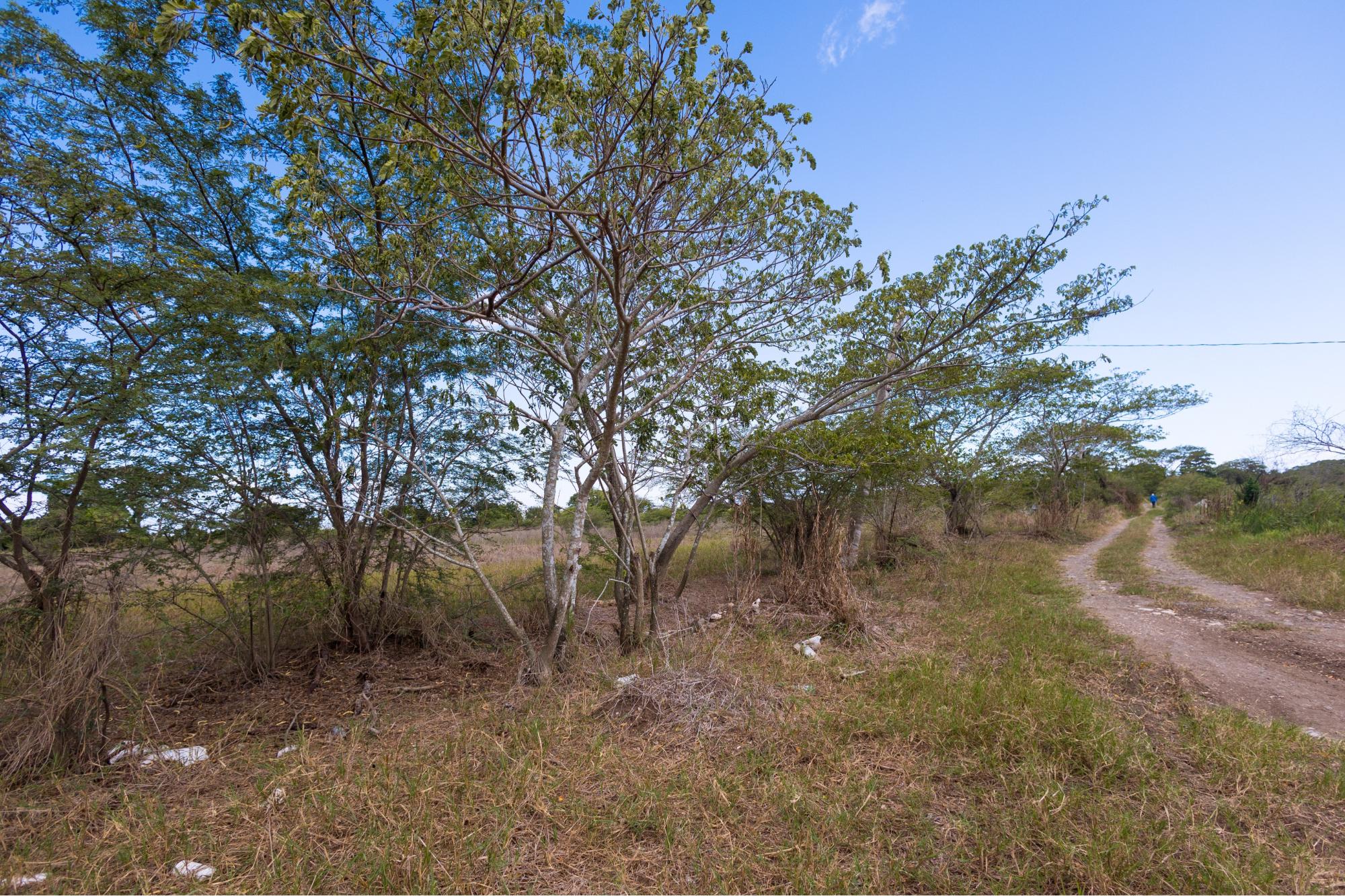 Property Image 8