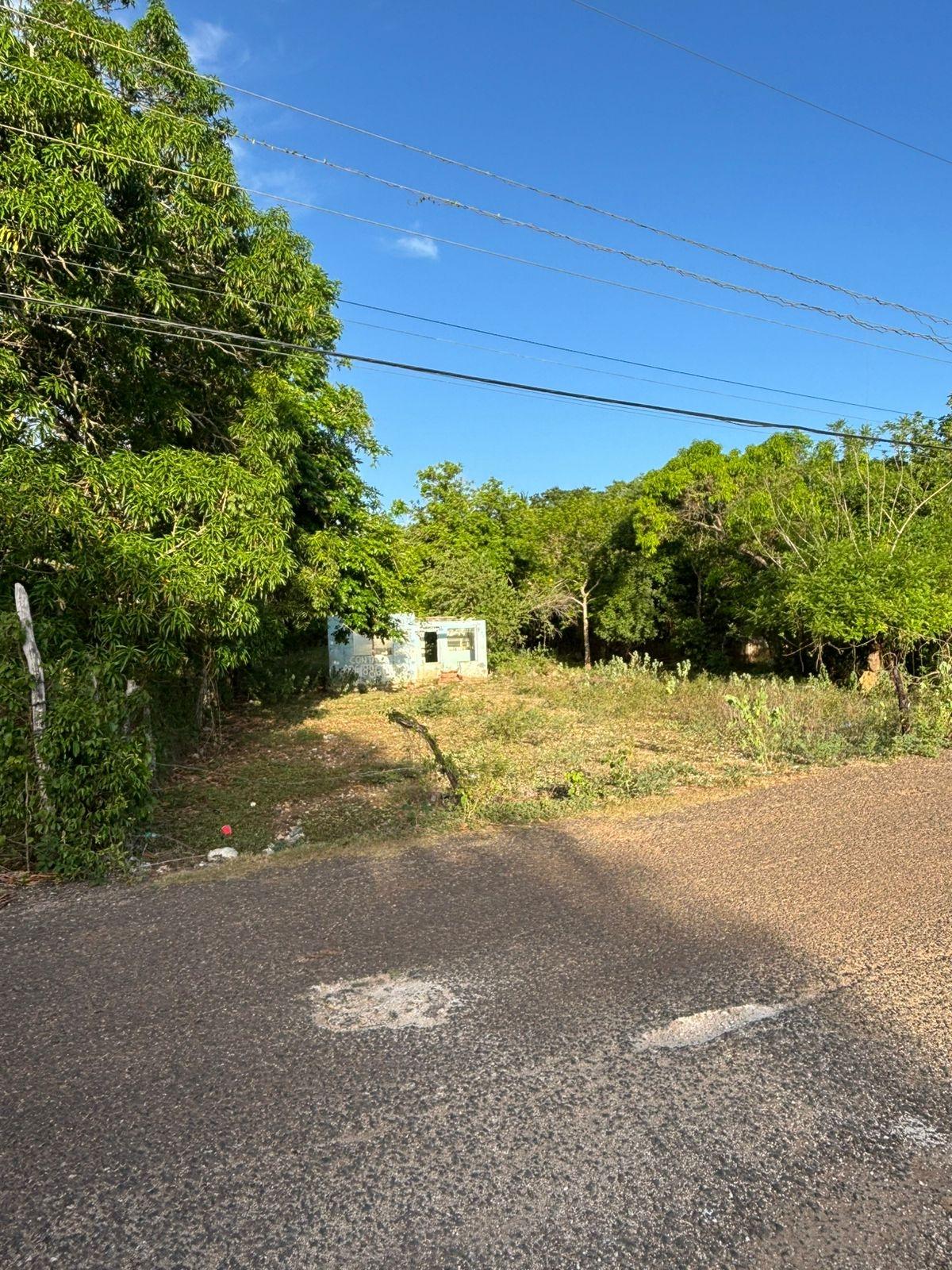 Property Image 10