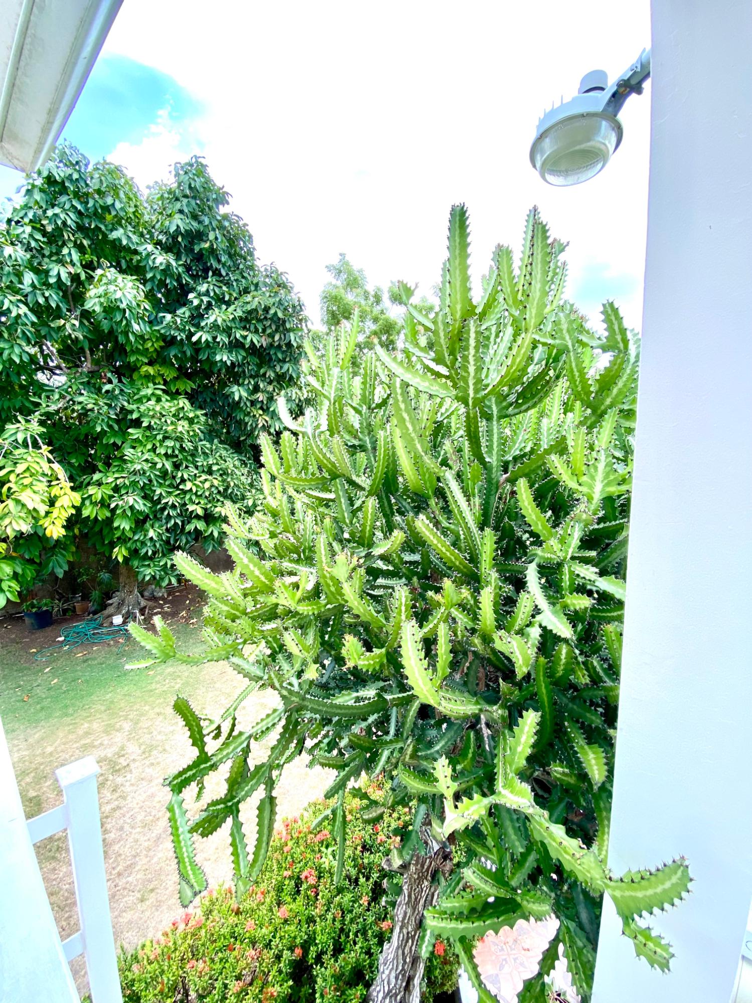 Property Image 66