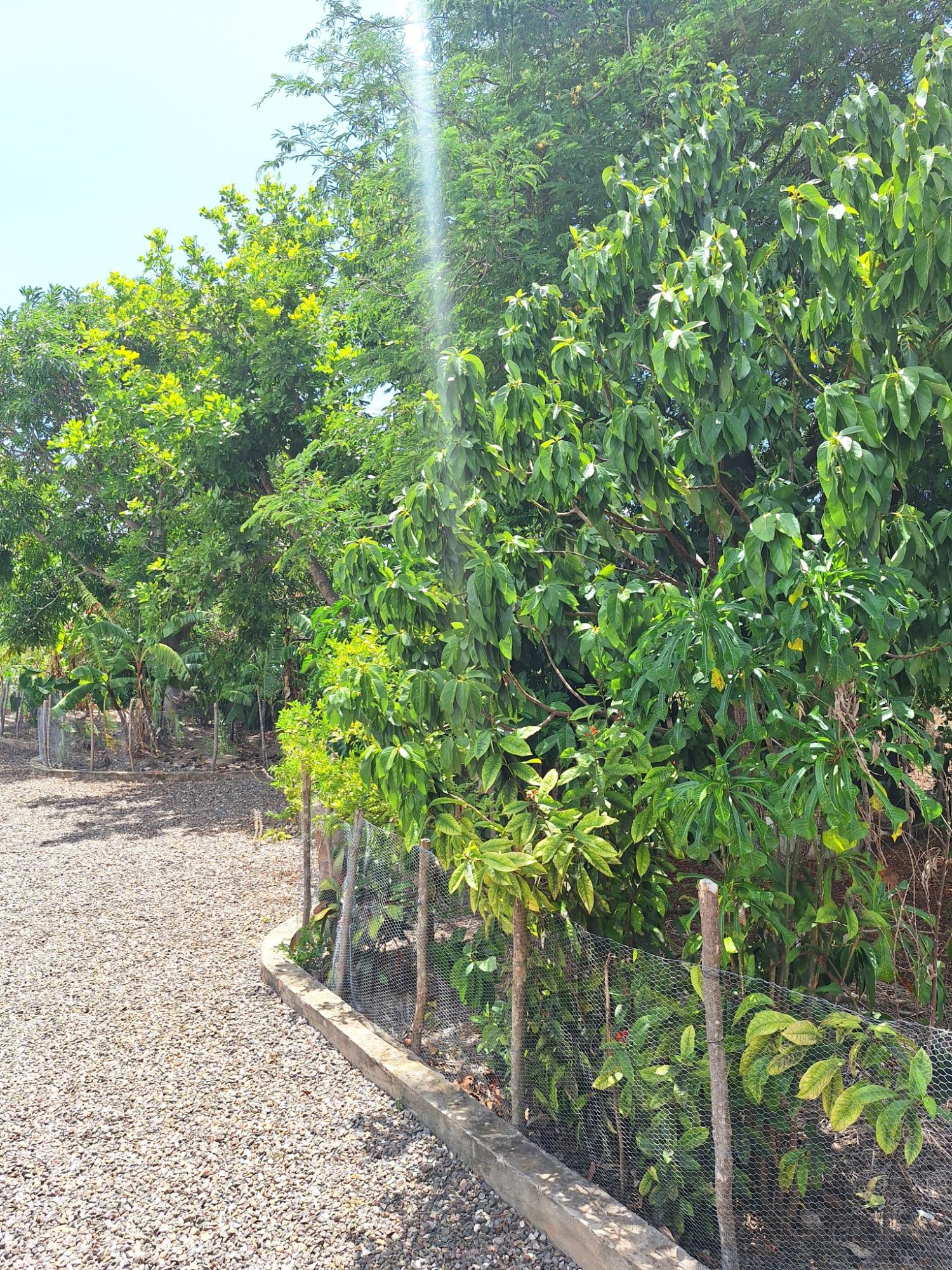 Property Image 36